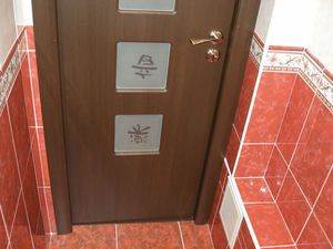 Двери для санузла в квартире